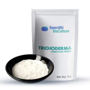 Trichoderma Water Soluble Powder