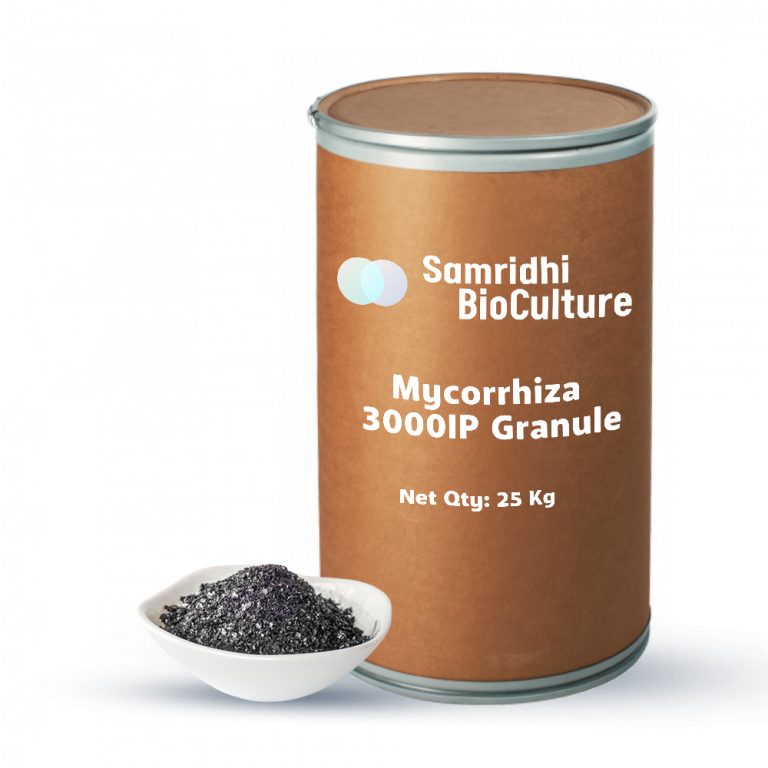 Mycorrhiza 3000 IP