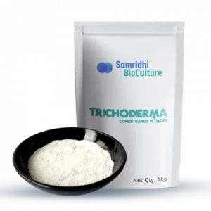 Trichoderma Concentrated Powder