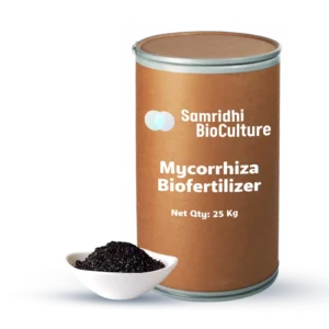 Mycorrhiza