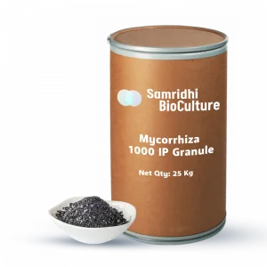 Mycorrhiza 1000 IP