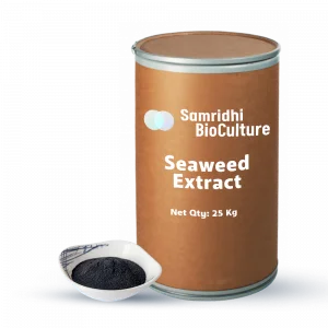 Seaweed Extract Powder