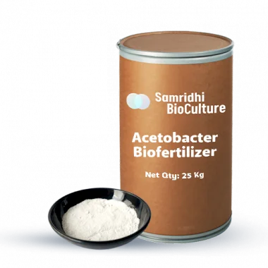 Acetobacter