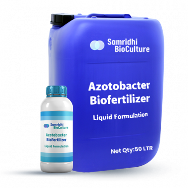01 AZOTOBECTER liquid 50ltr