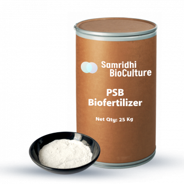 05 PSB powder 25kg