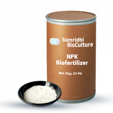 07 NPK powder 25kg