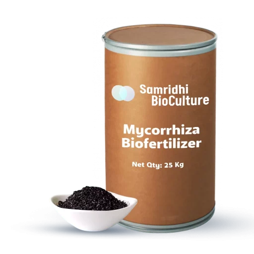 Mycorrhiza