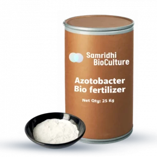 Azotobacter